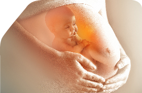 Embarazo Saludable Etapa 3